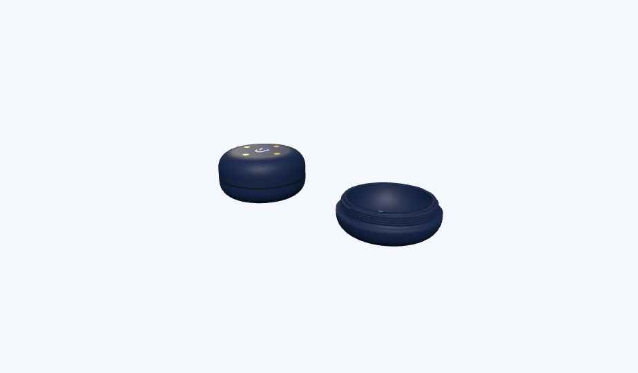 Guardian Pebble, water and frost sensor